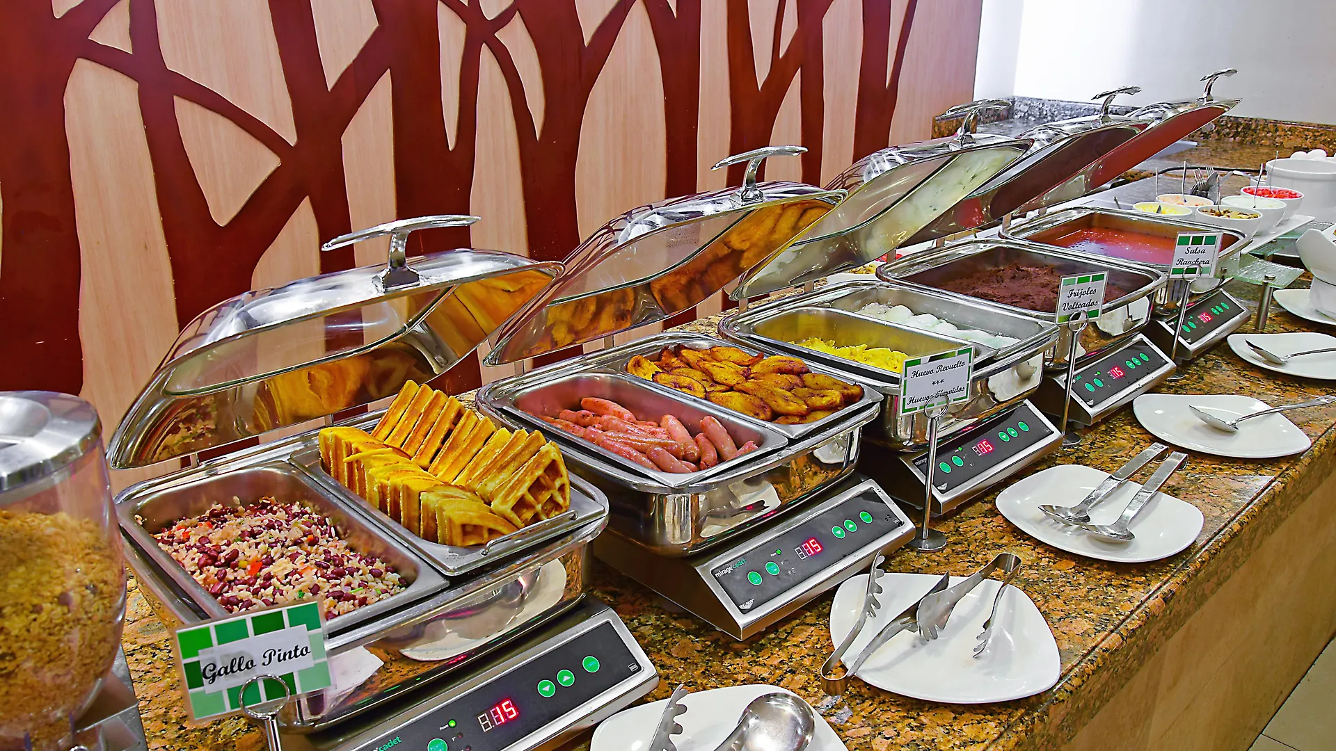 Hyatt Centric Guatemala City Hotel